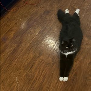 Meet your Posher, Kaleb